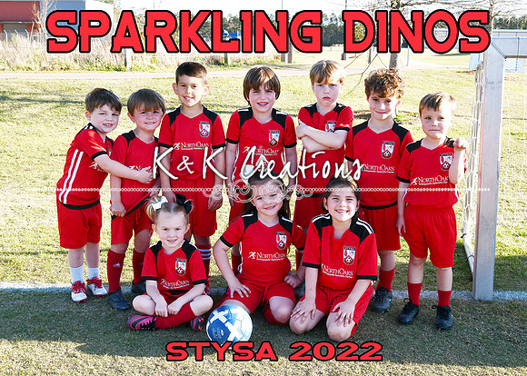 5X7 SPARKLING DINOS TEAM