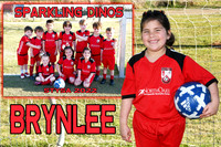 BRYNLEE RUIZ MEMORY MATE