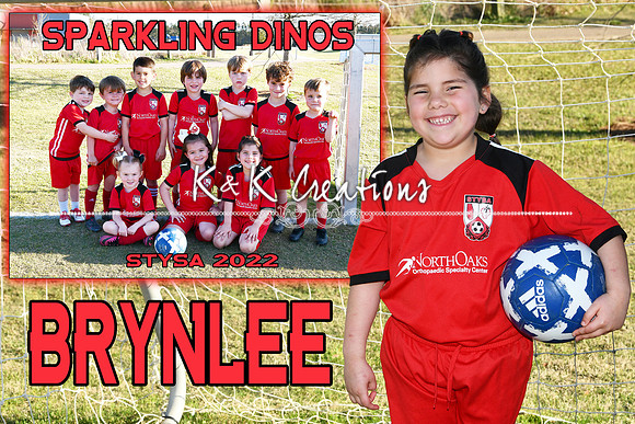BRYNLEE RUIZ MEMORY MATE
