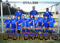 5X7 LADY DRAGONS SISUNG TEAM