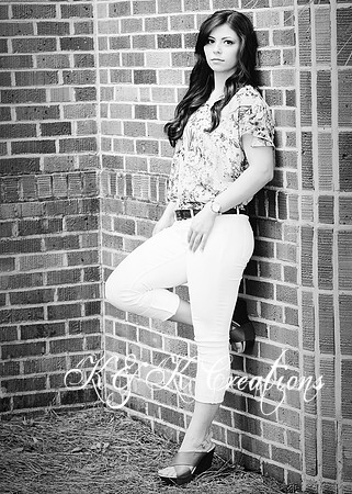 KRS_0135_nikki