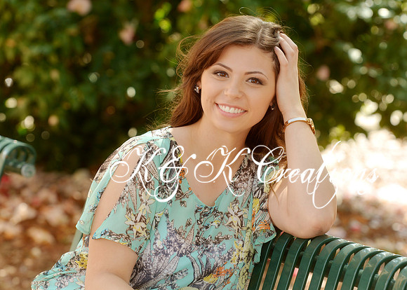KRS_0128_nikki