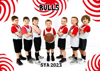 5x7 bulls team sya