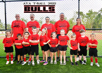 BULLS