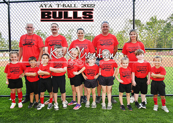 5X7 BULLS TEAM