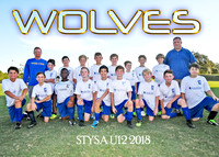 12U Josh Harrelson Wolves