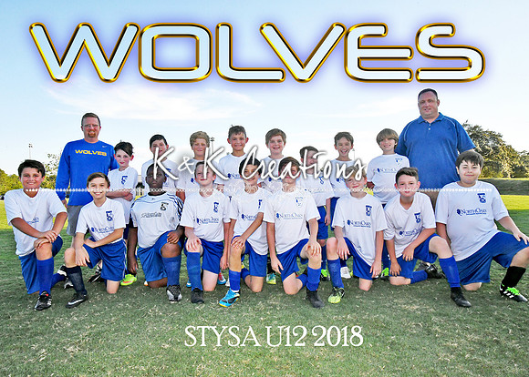 5x7 12U Wolves Josh Harrelson Team