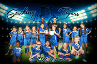 Striking Tigers