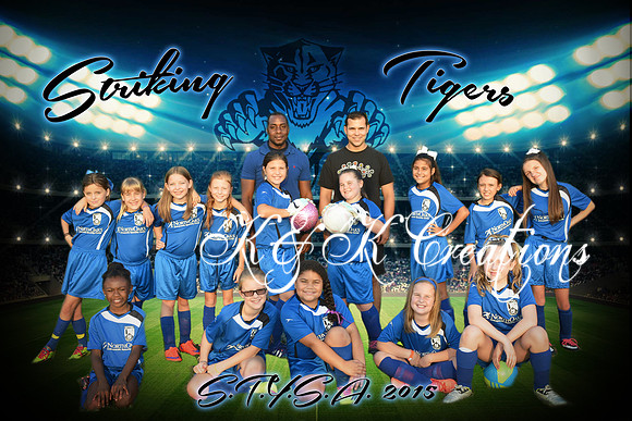 striking tigers team