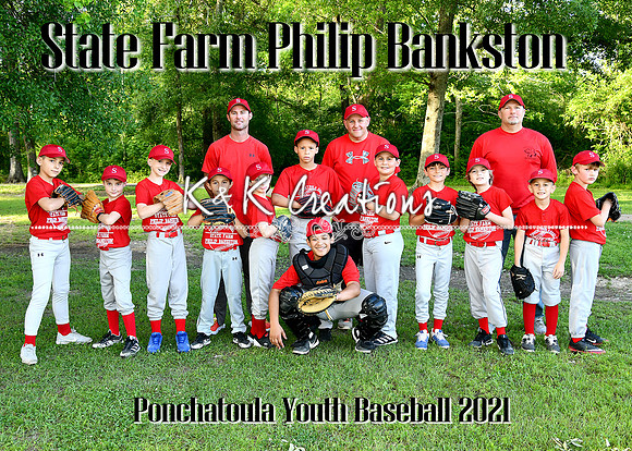 5x7 state farm philip bankston team