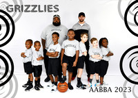 GRIZZLIES