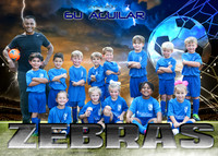 5X7 6U AGUILAR ZEBRAS TEAM