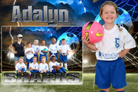 adalyn bourlet memory mate