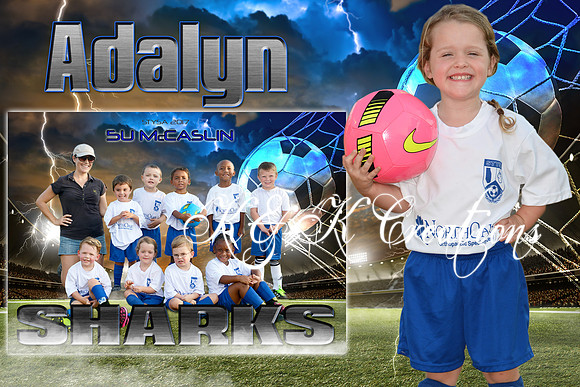 adalyn bourlet memory mate