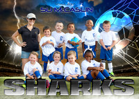 5x7 5u mccaslin SHARKS team