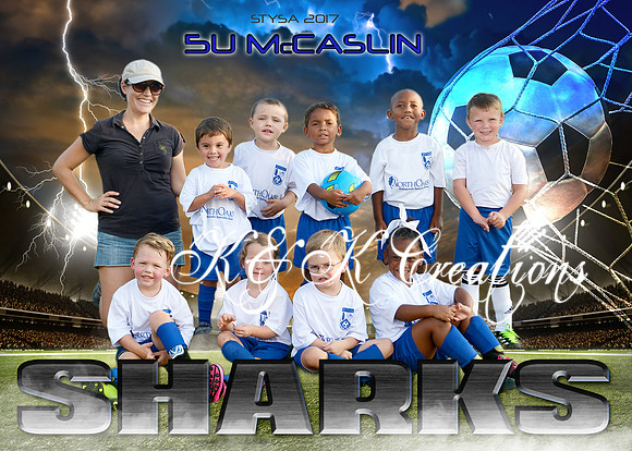 5x7 5u mccaslin SHARKS team