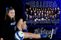 abigail lagarosse memory mate