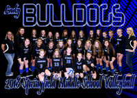 Springfield Middle Volleyball 2018