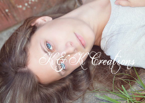 KRS_0397_1