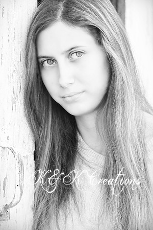 KRS_0391_1