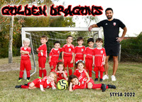 GOLDEN DRAGONS - BONFIGLIO