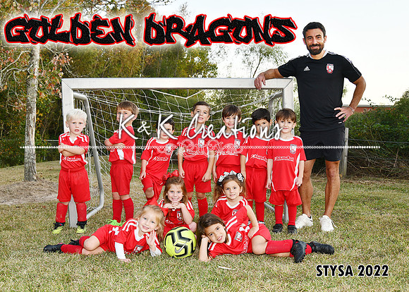 5X7 GOLDEN DRAGONS TEAM