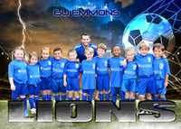 5X7 6U EMMONS LIONS