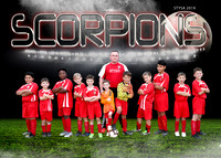 Scorpions - Johnson