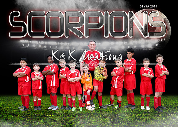 5x7 JOHNSON SCORPIONS TEAM