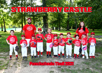 Tball Stawberry Castle