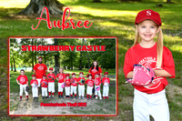 aubree motchek memory mate