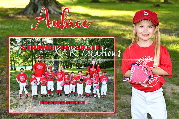 aubree motchek memory mate