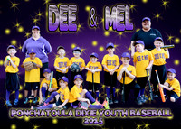 5X7 DEE AND MEL TBALL TEAM