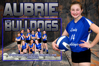 aubrie  lagarosse memory mate