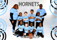 HORNETS