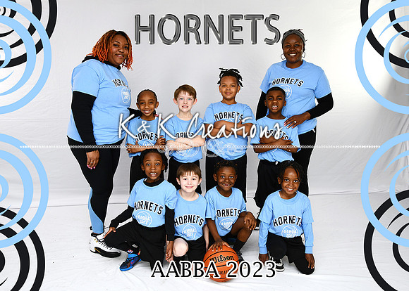 5X7 HORNETS TEAM