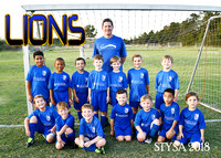 8u Kevin Wade LIONS