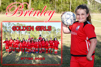 brinley smith memory mate