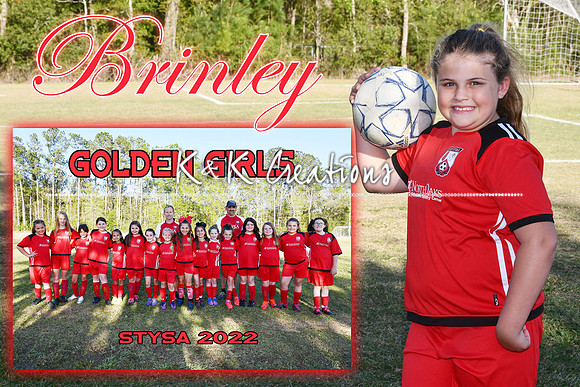 brinley smith memory mate