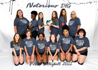 15--17 Notorius DIG
