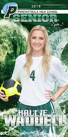 HALLIE WADDELL SOCCER BANNER