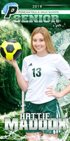 HATTIE MADDOX SOCCER BANNER