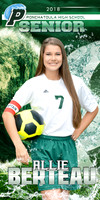 PHS Senior Banners - Girls 2017-2018