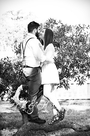 KRS_2298_dandm