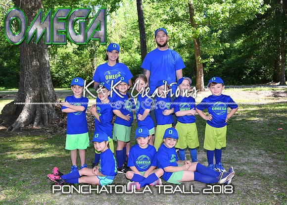 5X7 TBALL OMEGA TEAM