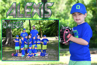 ALEXIS WALKER MEMORY MATE
