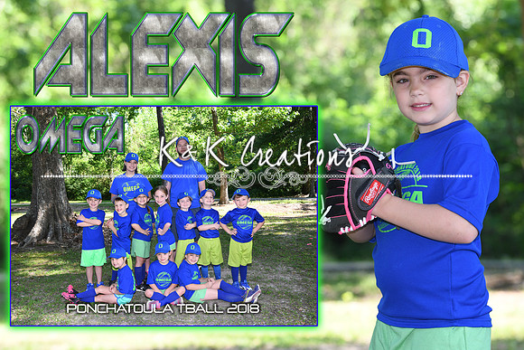 ALEXIS WALKER MEMORY MATE