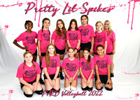10-12 Pretty Lil Spikes