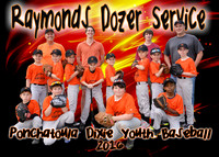 RAYMONDS DOZER SERVICE