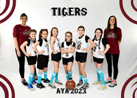Tigers G9-10 Dana Wall